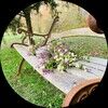 findsbyazalea